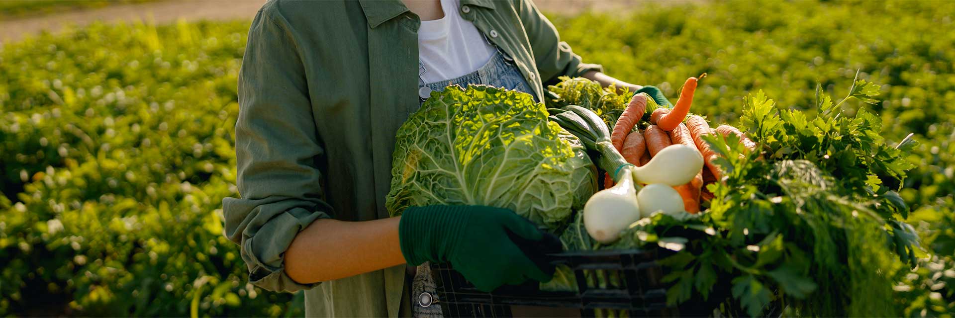 Orto stagionale con verdure fresche e coltivate naturalmente all’Agriturismo Lunardelli